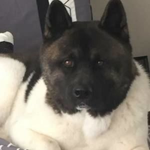 Meet your Posher, Kerry